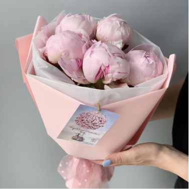 5 піонів 5 піонів